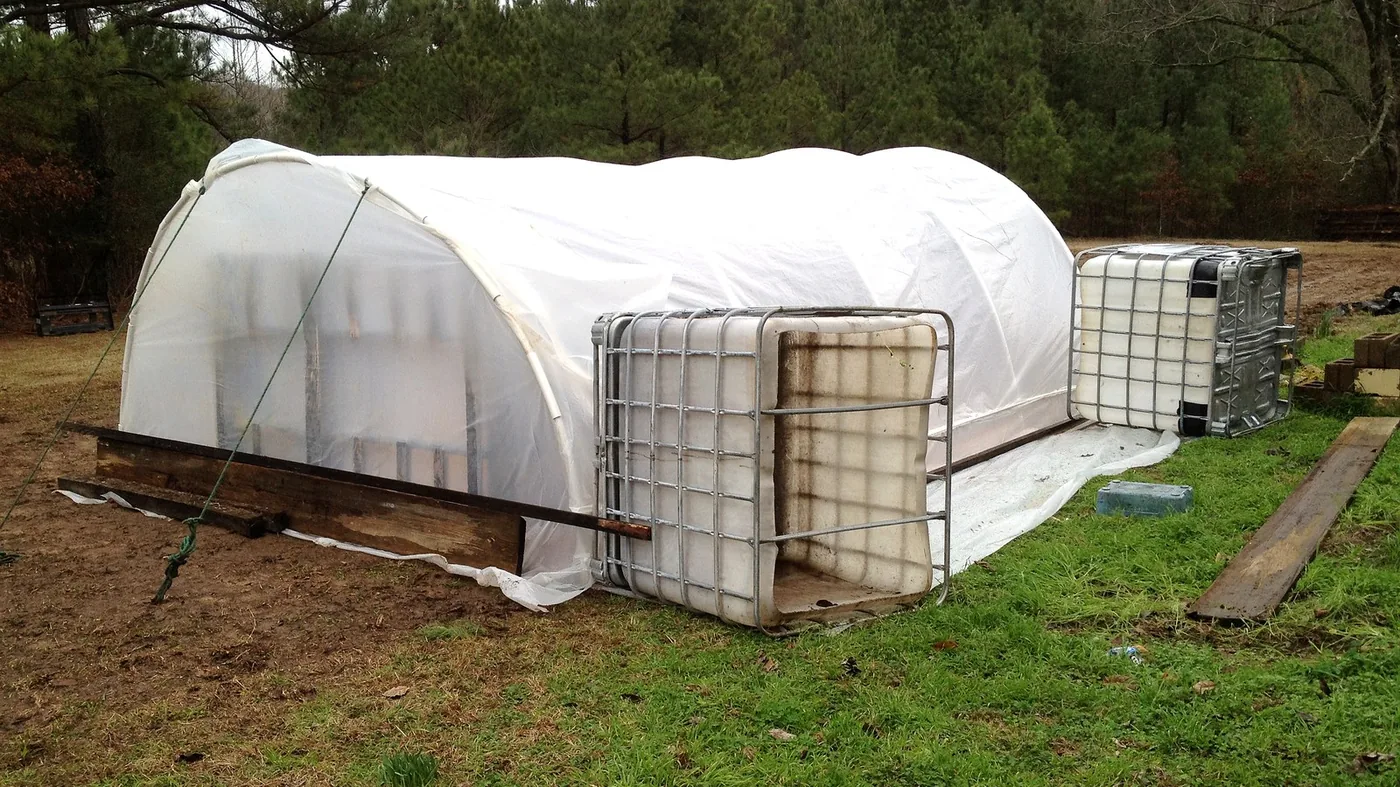 Hoop house with young plants
