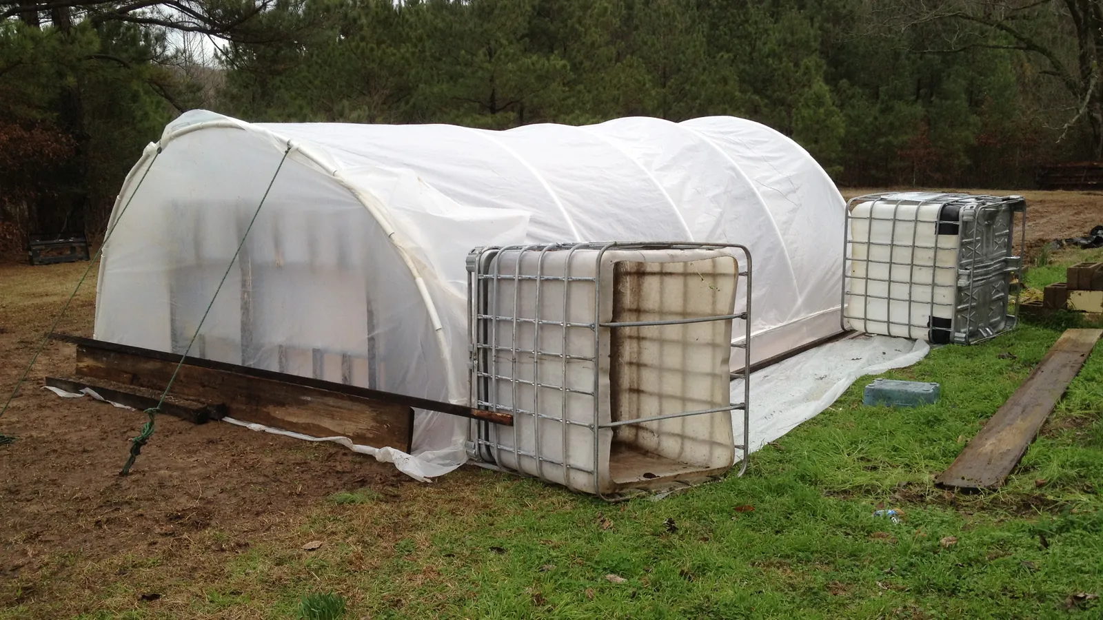 Low hoop house with IBC ballast on a Southern farm